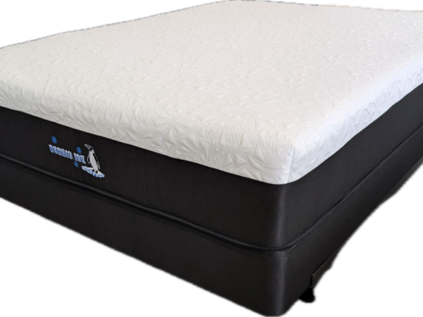 Freeze Foam Mattress 12" firm
