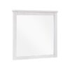 1303-6 Mirror