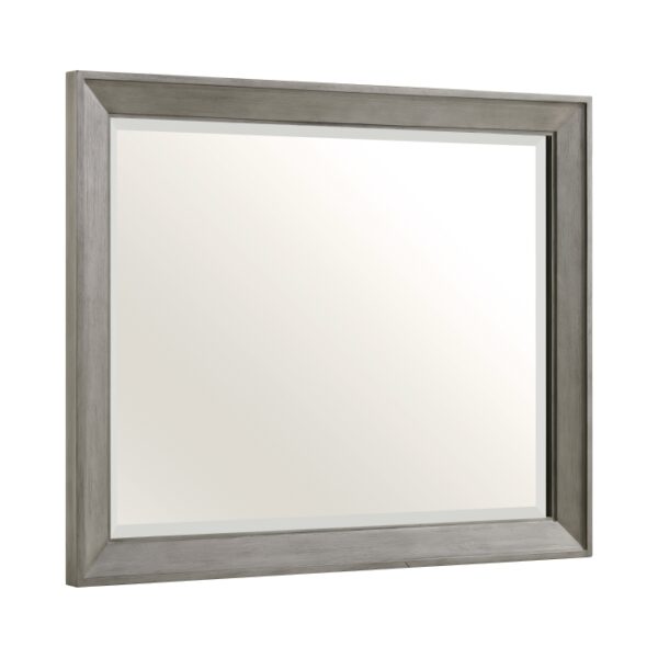 1305-6 Mirror