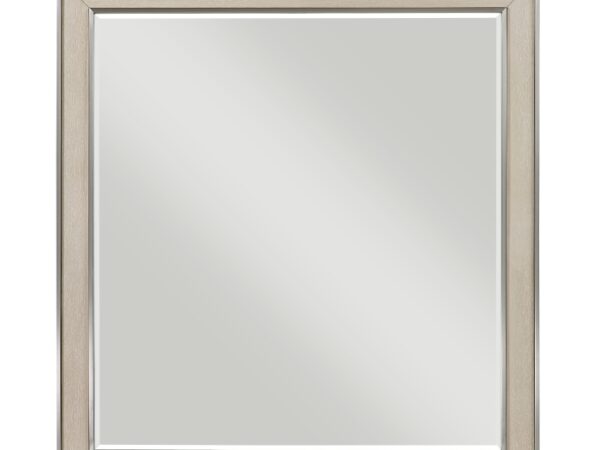 1312-6 Mirror