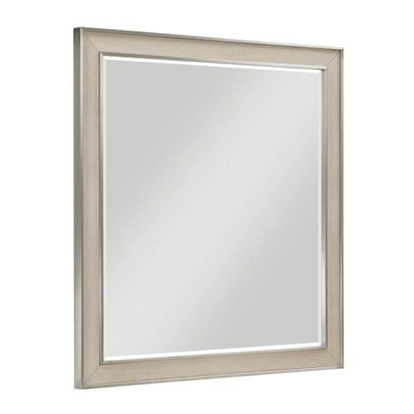 1312-6 Mirror