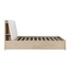 HE-1313N-1  Queen Platform Bed with Footboard Storage
