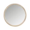 1313N-6 Mirror