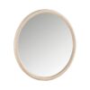 1313N-6 Mirror