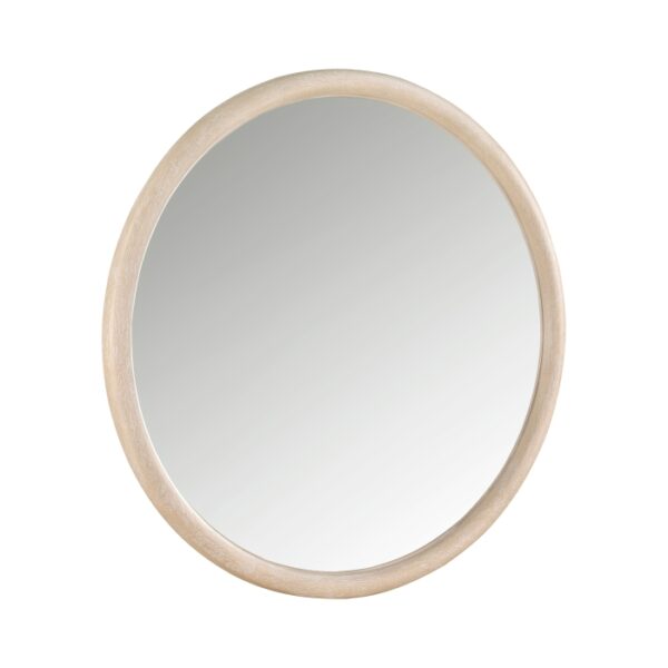 1313N-6 Mirror