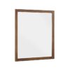 1314-6 Mirror