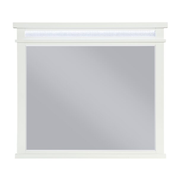 1321-6 Mirror