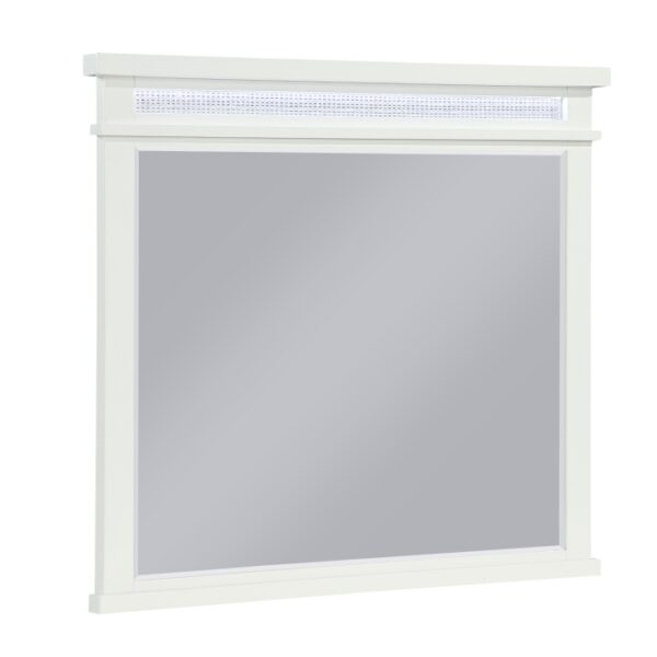 1321-6 Mirror
