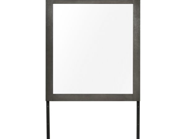1342-6 Mirror