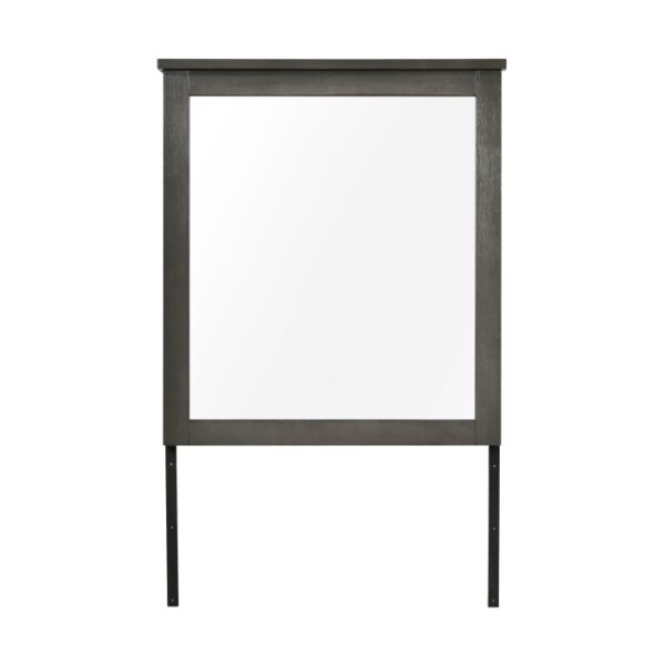 1342-6 Mirror