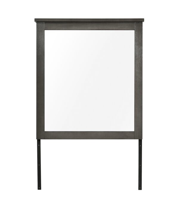 1342-6 Mirror