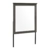 1342-6 Mirror