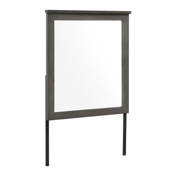 1342-6 Mirror