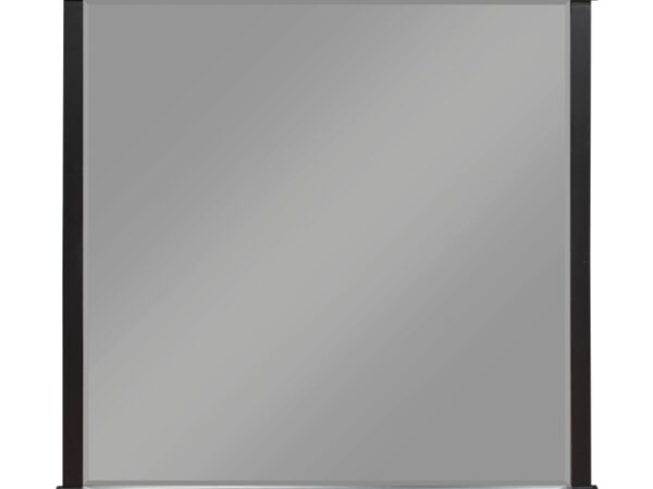 1343-6 Mirror