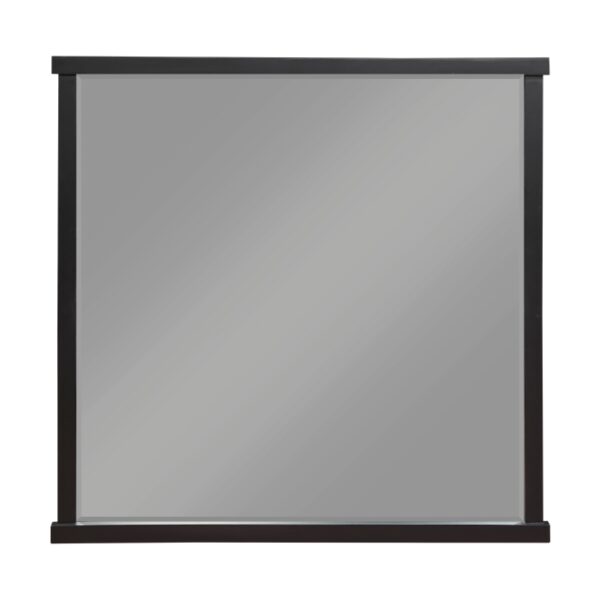 1343-6 Mirror