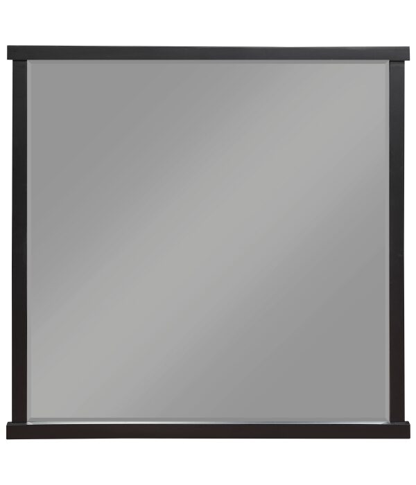 1343-6 Mirror