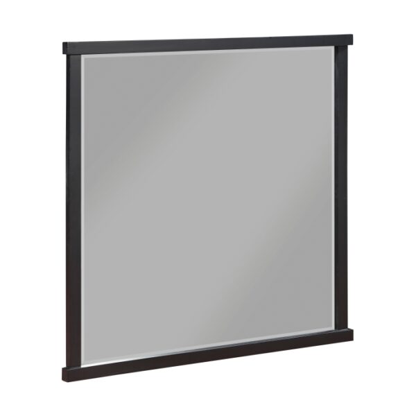 1343-6 Mirror
