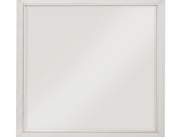 1355-6 Mirror