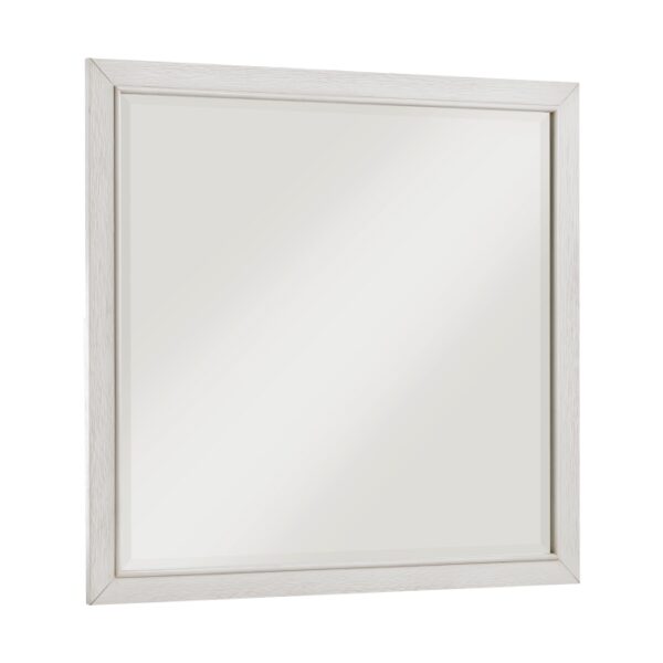 1355-6 Mirror