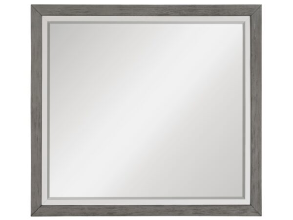 1366-6 Mirror