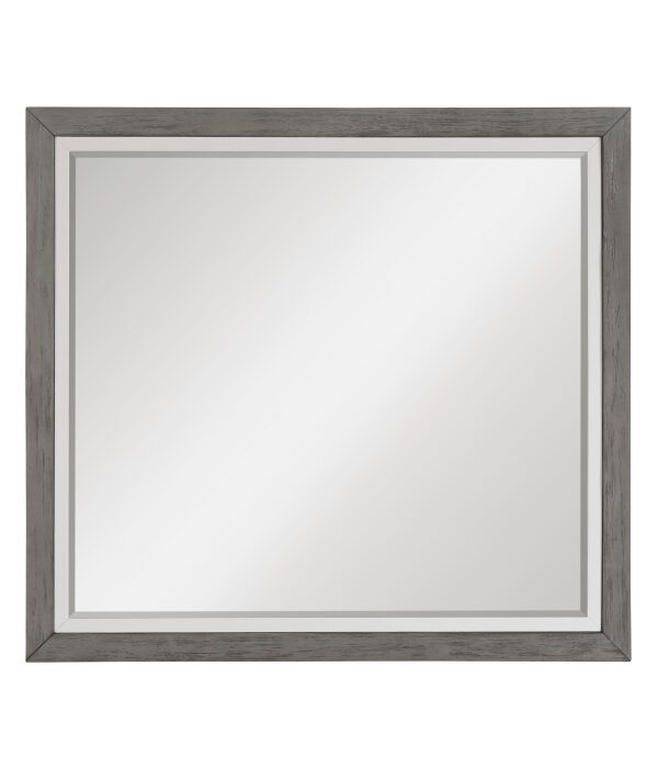 1366-6 Mirror
