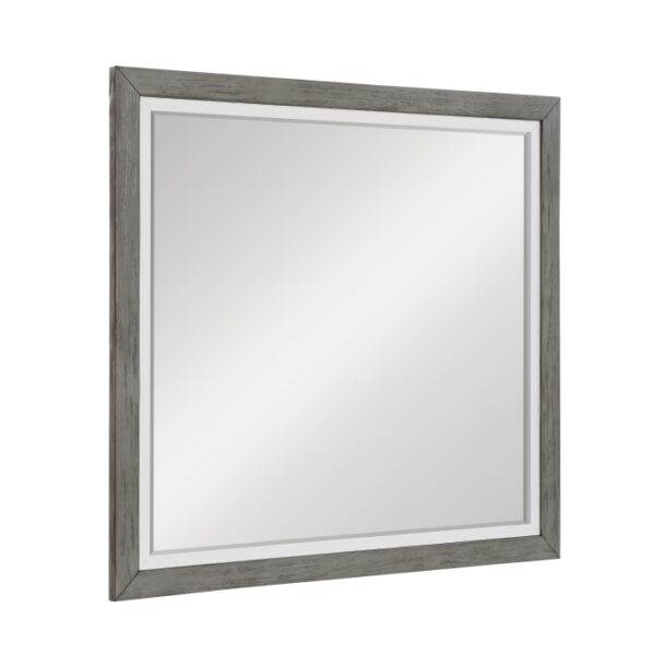 1366-6 Mirror
