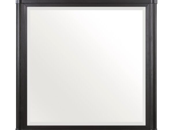 1381-6 Mirror