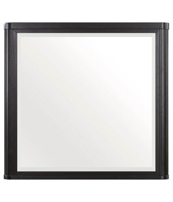 1381-6 Mirror