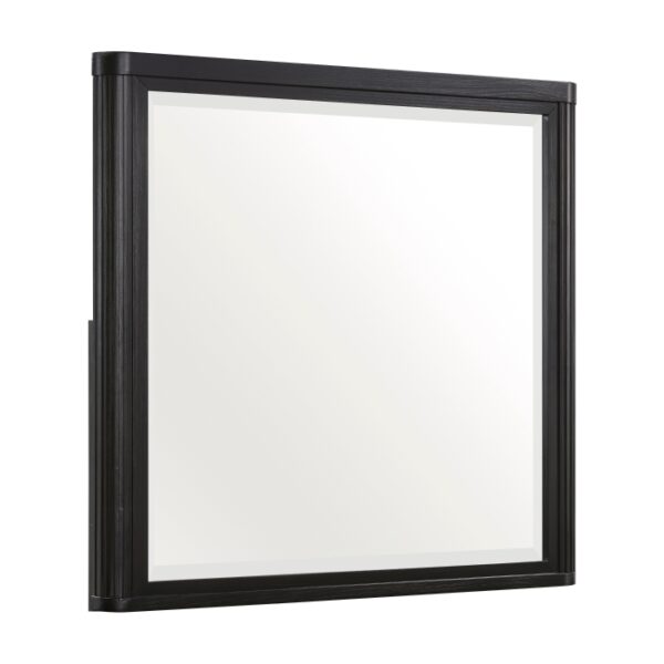 1381-6 Mirror