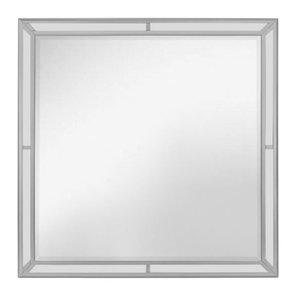1428SV-6 MIRROR