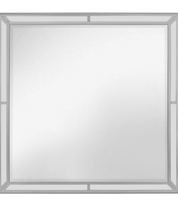 1428SV-6 MIRROR