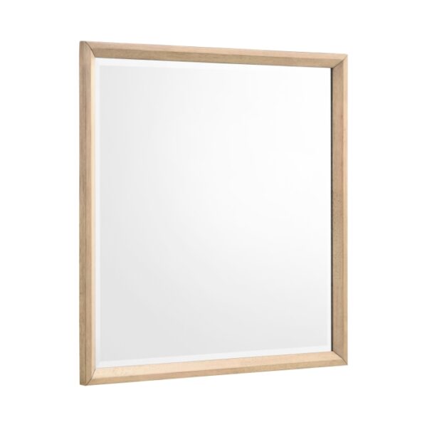 1444-6 Mirror