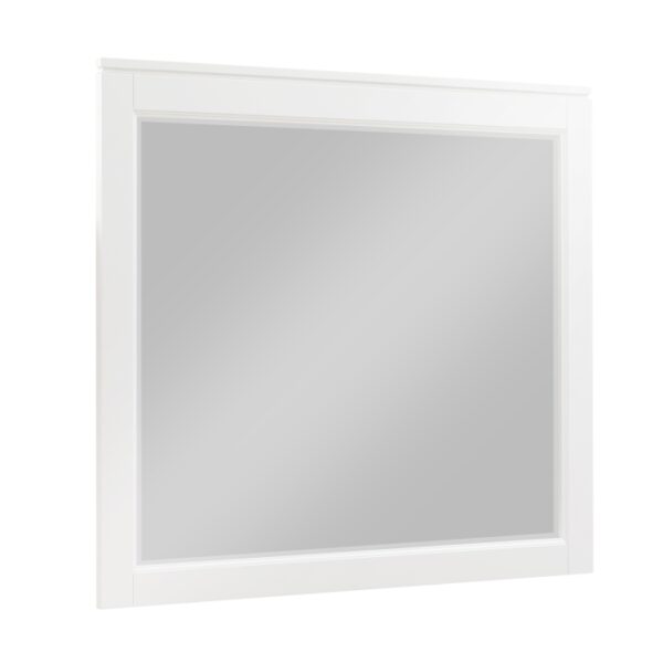 1450WH-6 Mirror