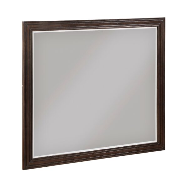 1451-6 Mirror