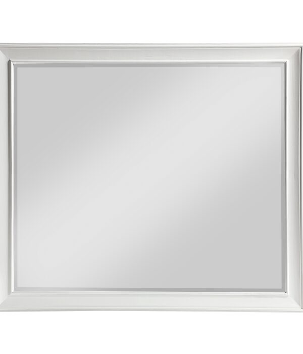 1454-6 Mirror