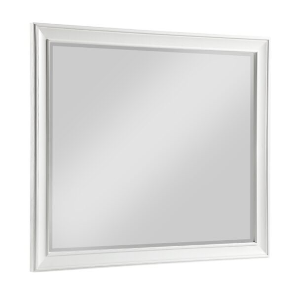 1454-6 Mirror