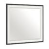 1456-6 Mirror