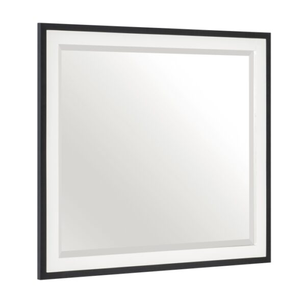 1456-6 Mirror