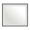 1456-6 Mirror