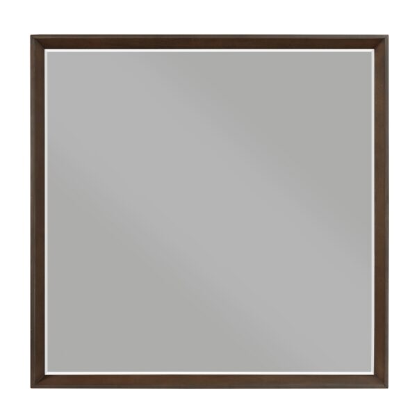 1501-6 Mirror
