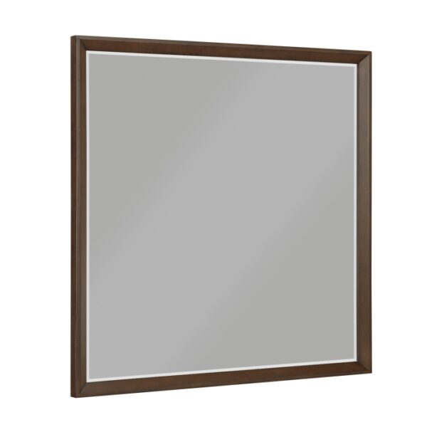 1501-6 Mirror