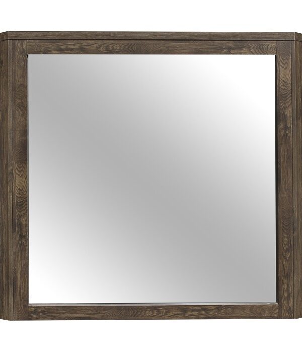 1509-6 Mirror