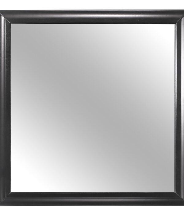 1517-6 Mirror