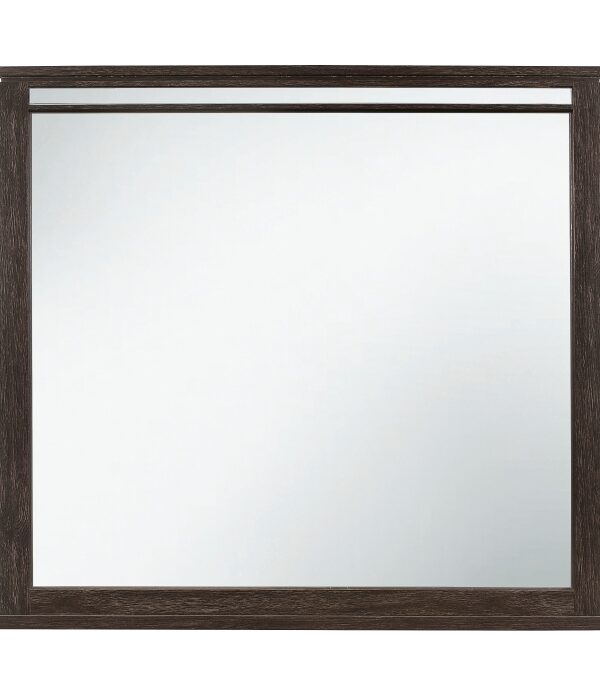 1518-6 Mirror