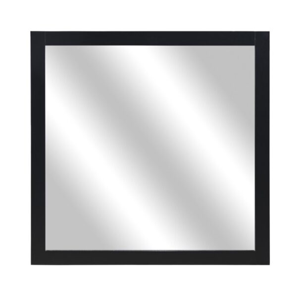 1519BK-6 Mirror