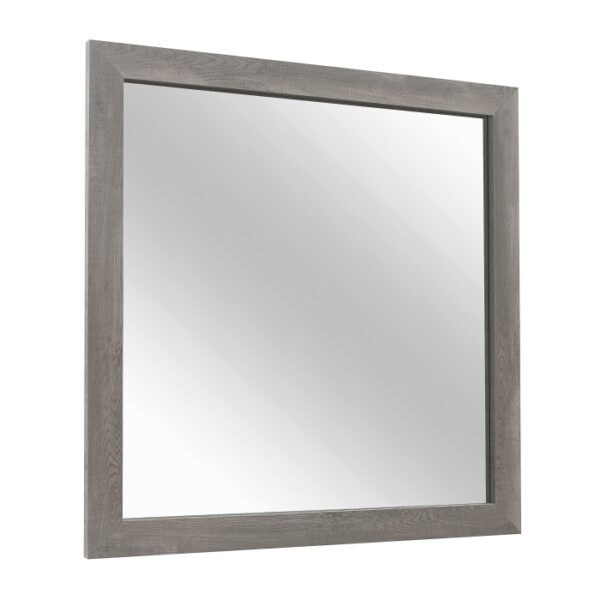 1534GY-6 Mirror