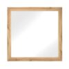 1534NA-6 Mirror