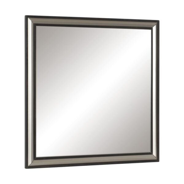 1536-6 Mirror