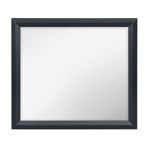 1553-6 Mirror