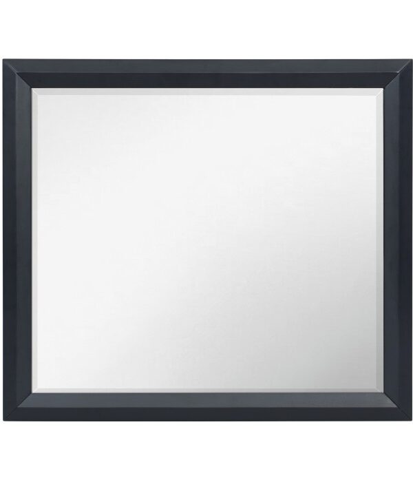 1553-6 Mirror